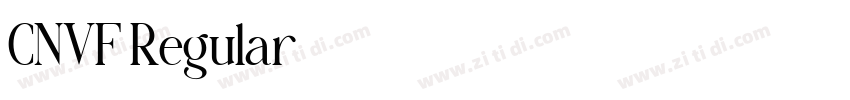 CNVF Regular字体转换